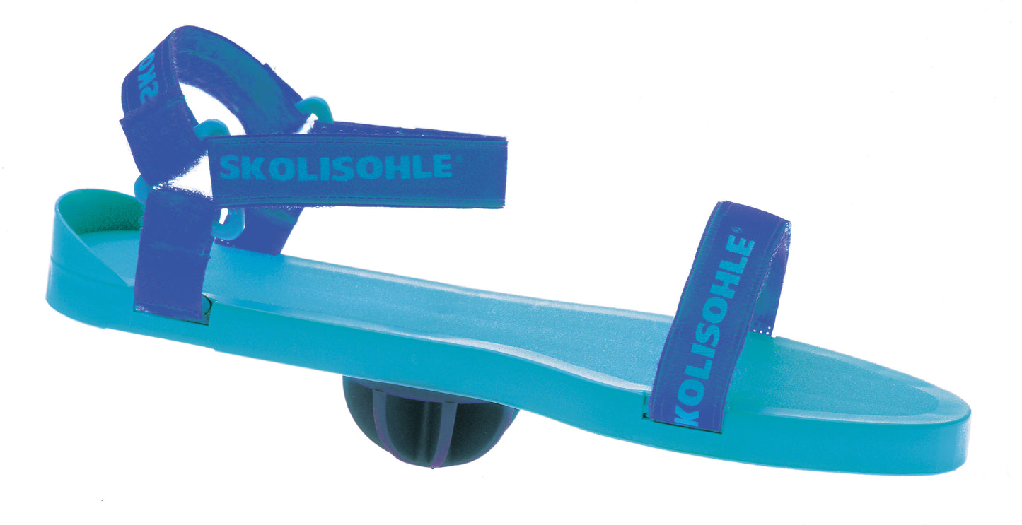 Skolisohle ®